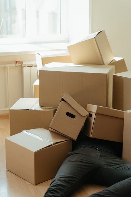 Two professional movers from Storage Highbury engaged in a home relocation process inside a bright, spacious room with white walls and large arched windows allowing natural daylight to illuminate the 
