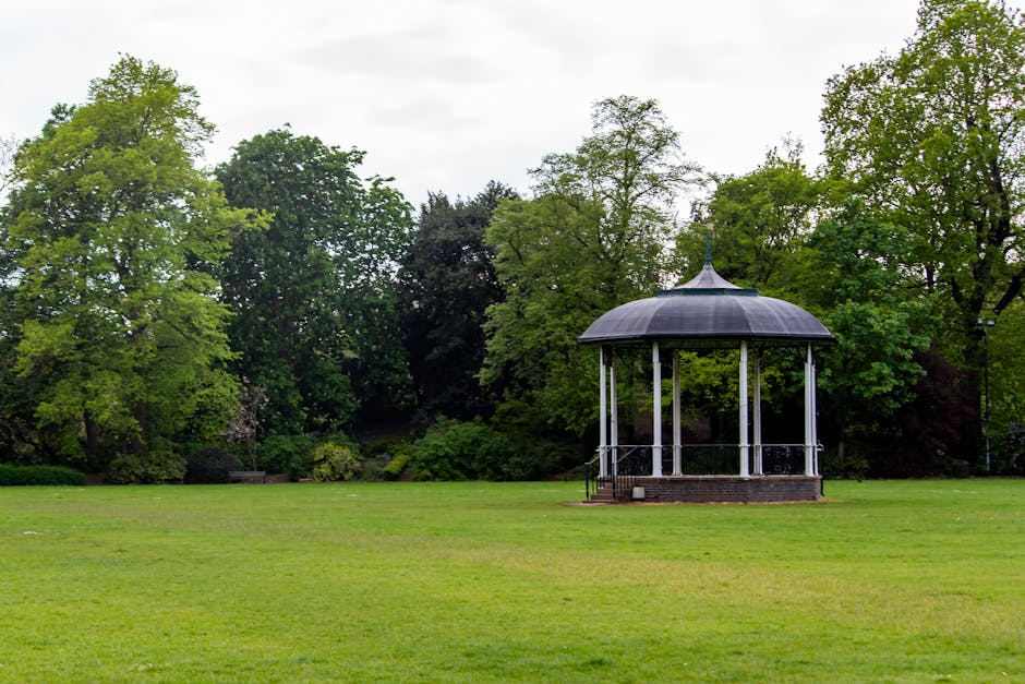 A white van belonging to Storage Highbury is parked on a grassy area surrounded by tall trees with green and autumnal foliage, indicating an outdoor setting during daytime. Two movers are visible next